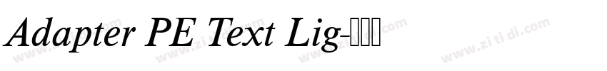 Adapter PE Text Lig字体转换